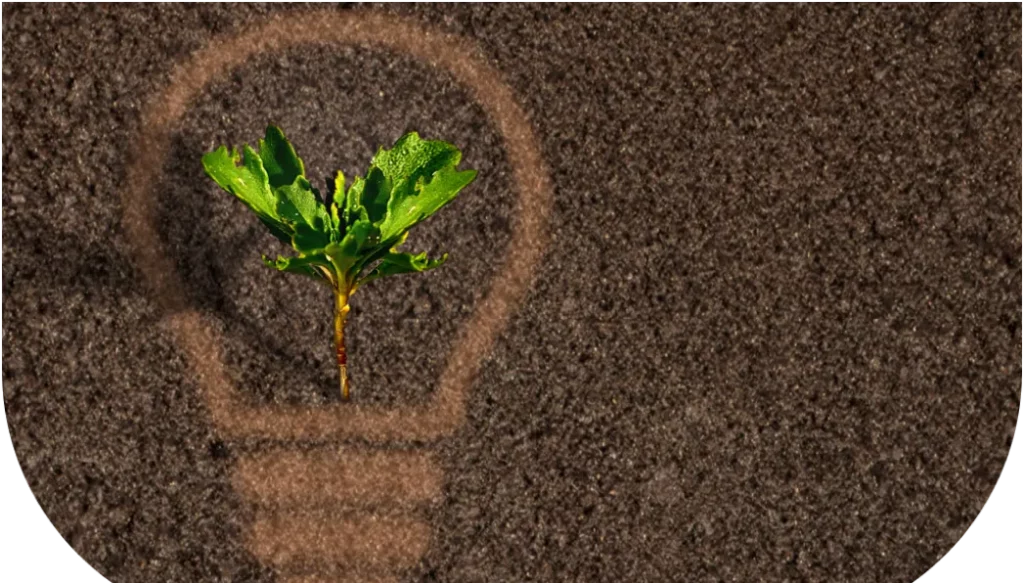 Foto de uma terra com o desenho de uma lâmpada e uma planta crescendo em cima dela.
